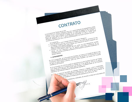 Curso en linea