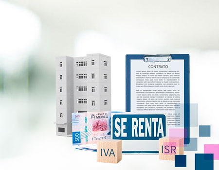 Curso en linea