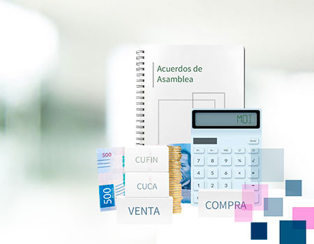 Curso en linea