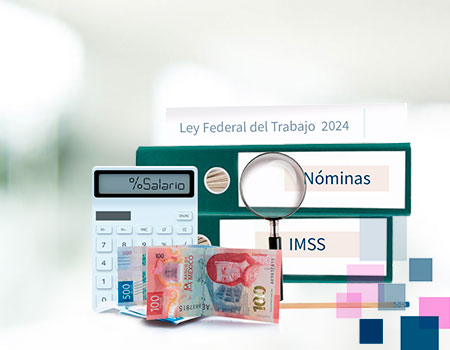 Curso en linea