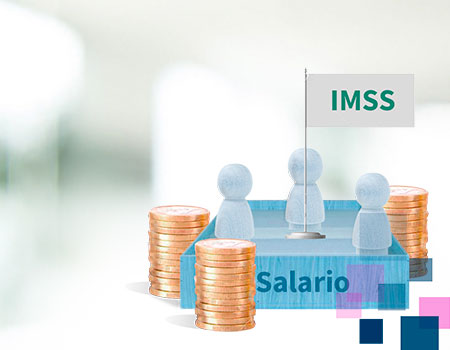 Curso en linea