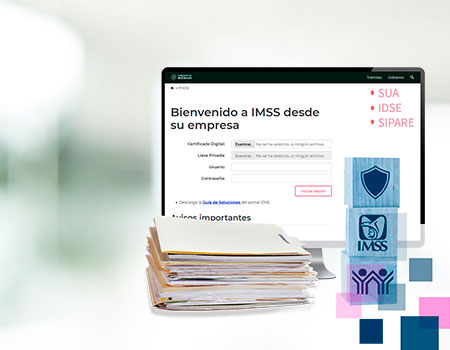 Curso en linea