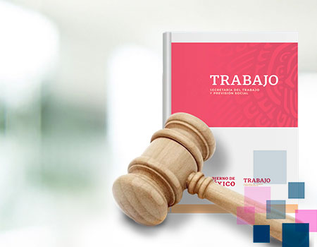Curso en linea