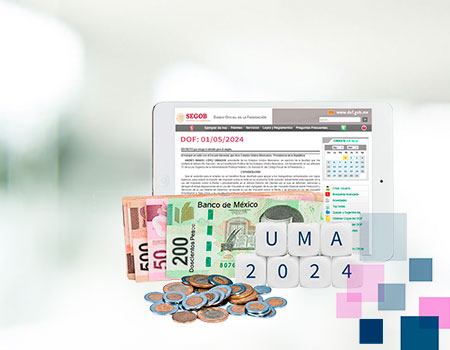 Curso en linea