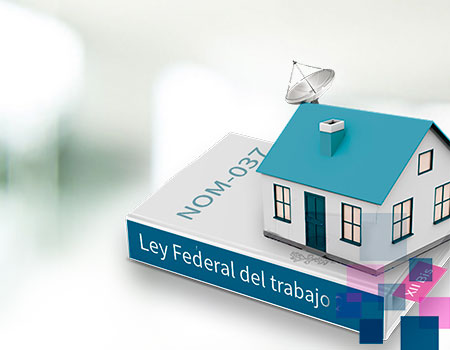 Curso en linea