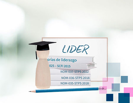 Curso en linea