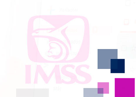 Programa IMSS – Seguridad Social para Trabajadores Independientes